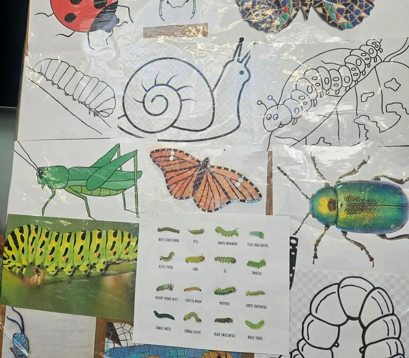 Butterfly and insect colouring sheets among craft materials for members to use